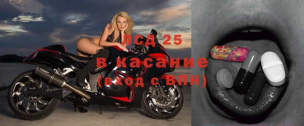 дживик Ельня