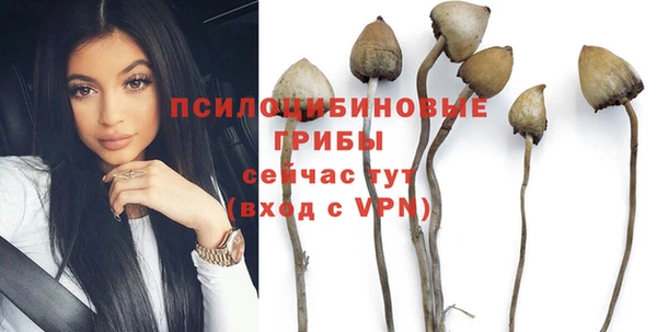 не бодяженный Михайлов
